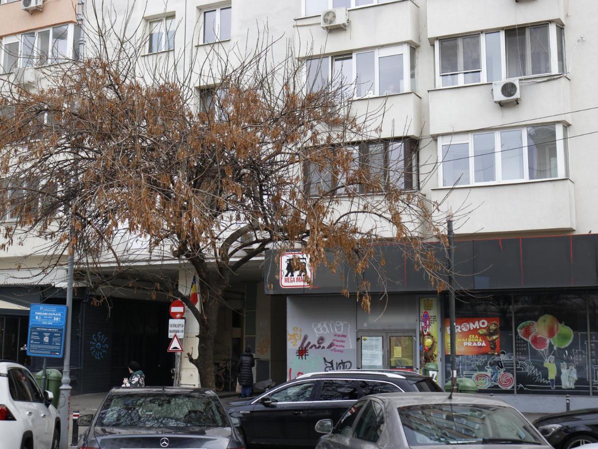 Mina City Center Apartment Amzei Bucharest Luaran gambar